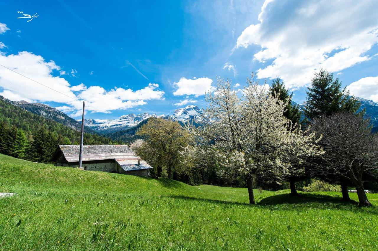 Olympic Regina Hotel Pinzolo Extérieur photo