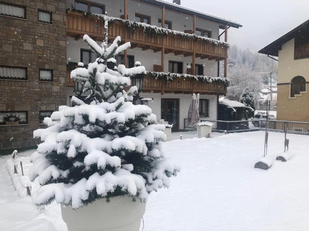 Olympic Regina Hotel Pinzolo Extérieur photo